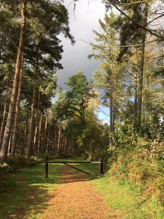 Lodge Hollicarrs - Newlands