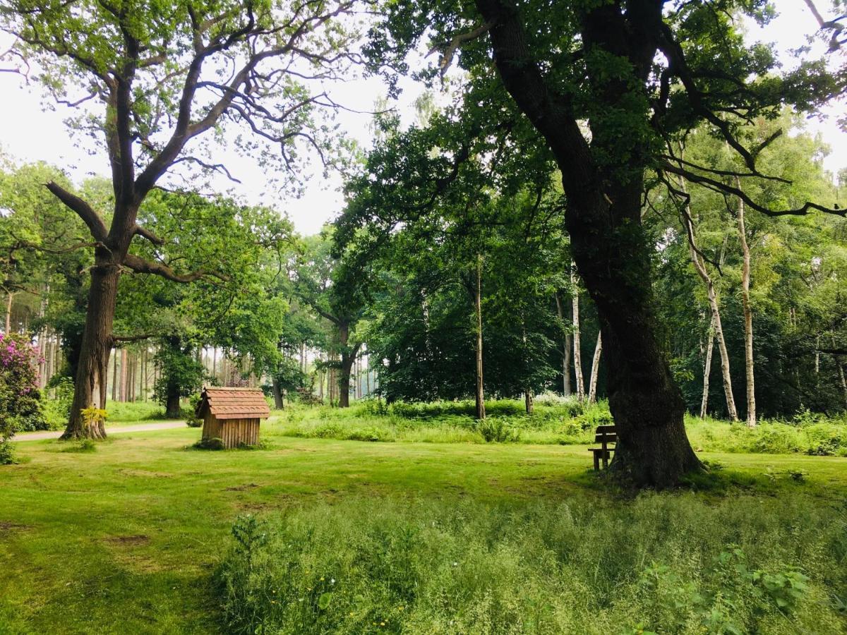 Hollicarrs - Newlands York