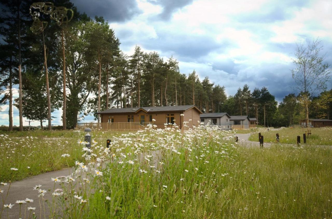 Hollicarrs - Newlands Lodge *