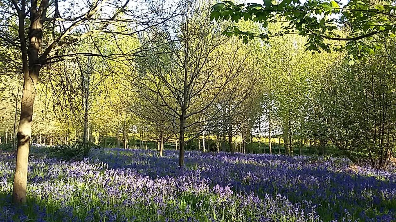 Hollicarrs - Newlands York