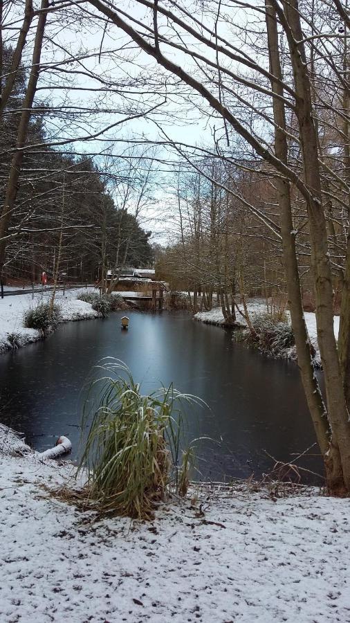 Lodge Hollicarrs - Newlands York