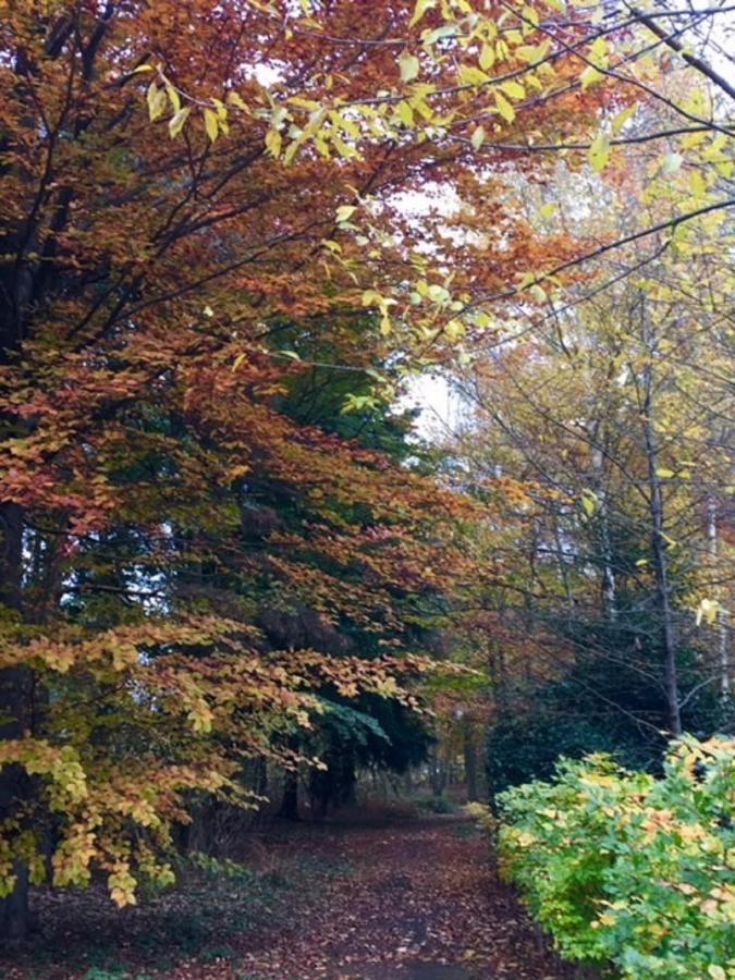 Lodge Hollicarrs - Newlands York